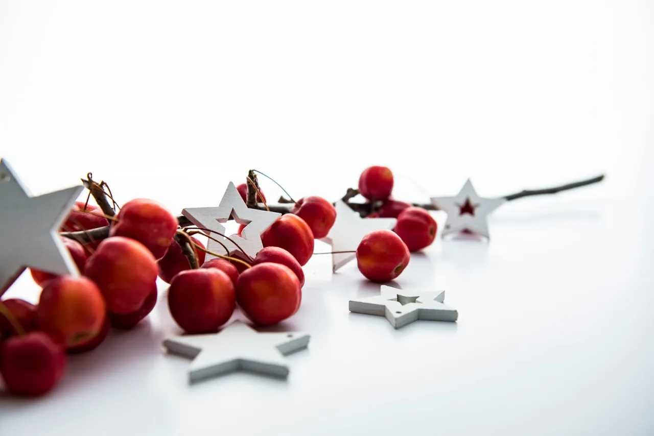 Festive decorations at Natural Balance